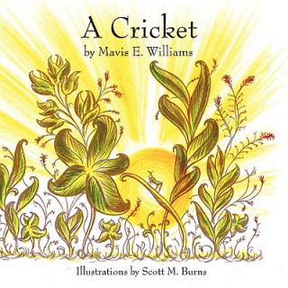 Książka Cricket Mavis E. Williams