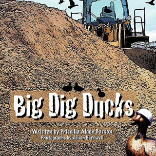 Carte Big Dig Ducks Priscilla Batson
