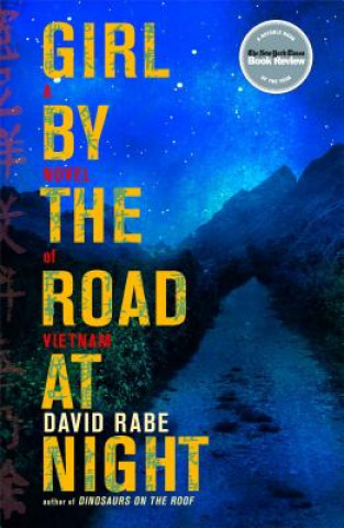 Carte Girl by the Road at Night: A Novel of Vietnam David Rabe