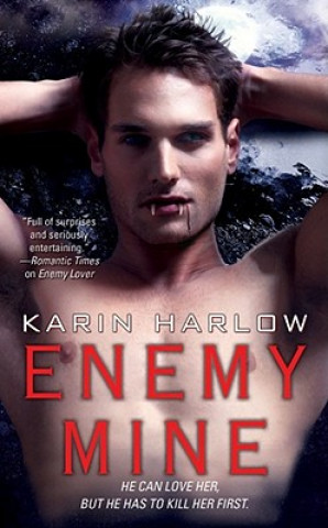 Kniha Enemy Mine Karin Harlow