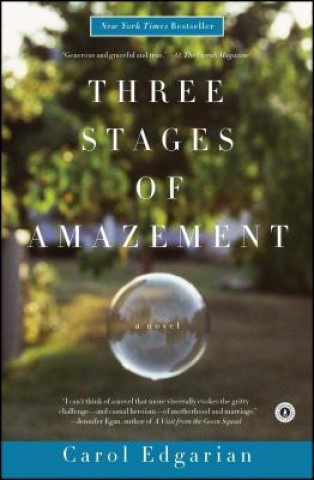 Kniha Three Stages of Amazement Carol Edgarian