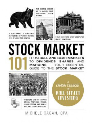 Kniha Stock Market 101 Michele Cagan