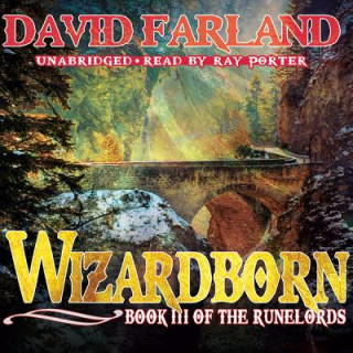 Audio Wizardborn David Farland