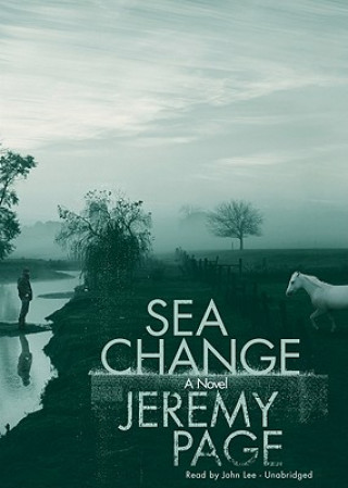 Audio Sea Change Jeremy Page