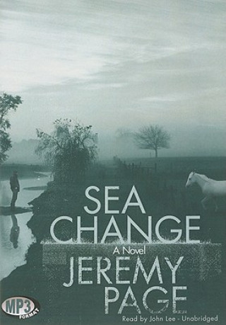 Digital Sea Change Jeremy Page