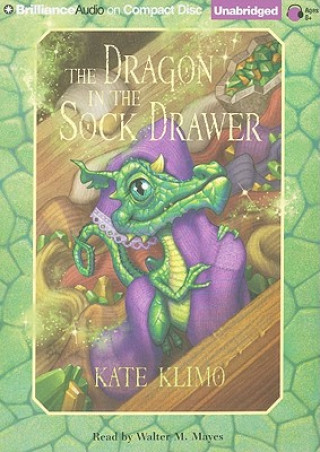 Audio The Dragon in the Sock Drawer Kate Klimo