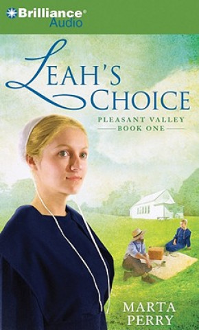 Audio Leah's Choice: Pleasant Valley Book One Marta Perry