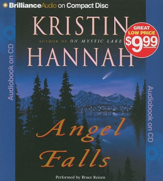 Audio Angel Falls Kristin Hannah