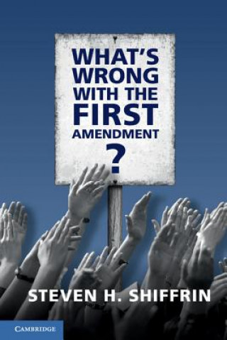 Boek What's Wrong with the First Amendment Steven H. Shiffrin