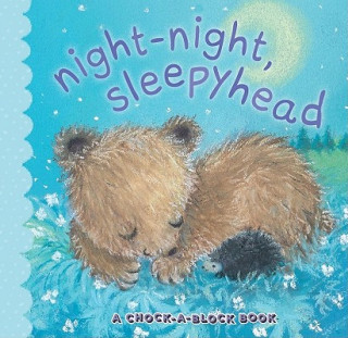 Kniha Night-Night, Sleepyhead: A Chock-A-Block Book Jean McElroy