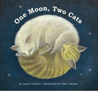 Kniha One Moon, Two Cats Laura Godwin