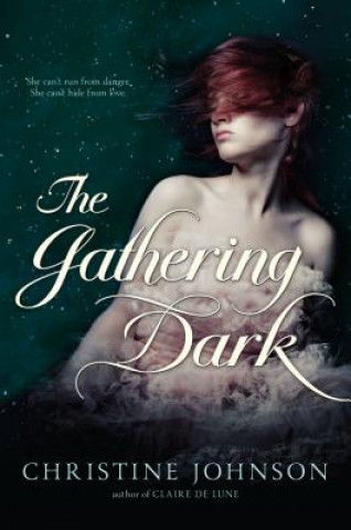 Kniha The Gathering Dark Christine Johnson