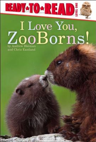 Carte I Love You, Zooborns! Andrew Bleiman