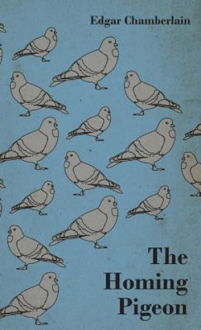 Carte The Homing Pigeon Edgar Chamberlain