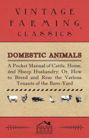 Buch Domestic Animals - A Pocket Manual of Cattle, Horse, and Sheep Husbandry, Or, How to Breed and Rear the Various Tenants of the Barn-Yard Anon