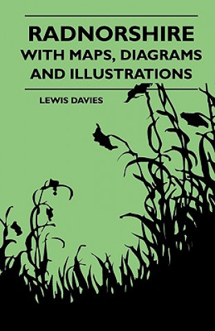 Carte Radnorshire With Maps, Diagrams And Illustrations Lewis Davies