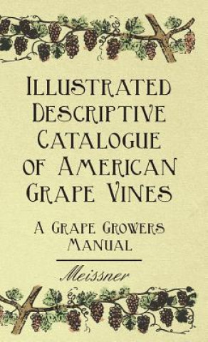 Книга Illustrated Descriptive Catalogue of American Grape Vines - A Grape Growers Manual Meissner