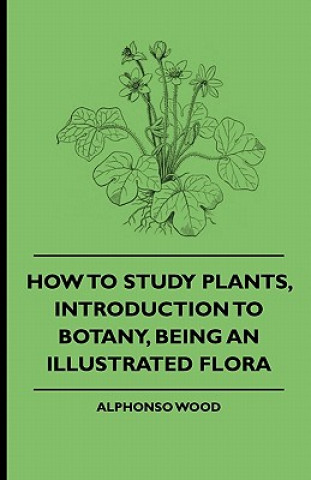 Libro How to Study Plants, Introduction to Botany, Being an Illustrated Flora Alphonso Wood