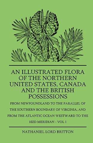 Carte An Illustrated Flora Of The Northern United States, Canada And The British Possessions - From Newfoundland To The Parallel Of The Southern Boundary Of Nathaniel Lord Britton