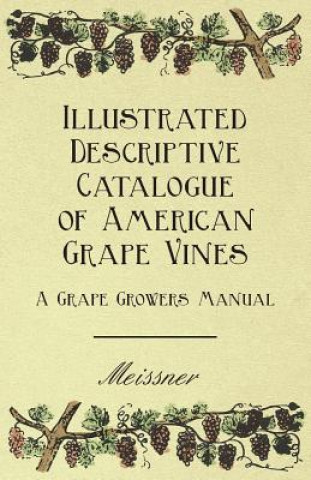 Książka Illustrated Descriptive Catalogue of American Grape Vines - A Grape Growers Manual Meissner