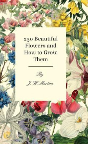 Könyv 250 Beautiful Flowers And How To Grow Them J. W. Morton