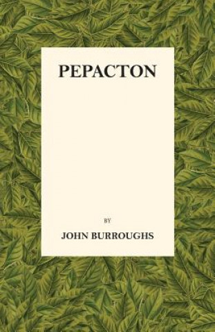 Kniha Pepacton John Burroughs