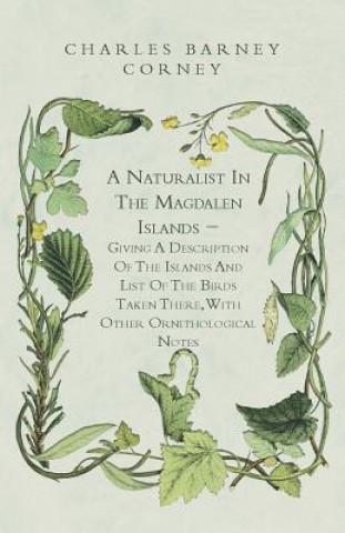 Carte A Naturalist In The Magdalen Islands - Giving A Description Of The Islands And List Of The Birds Taken There, With Other Ornithological Notes Charles Barney Cory