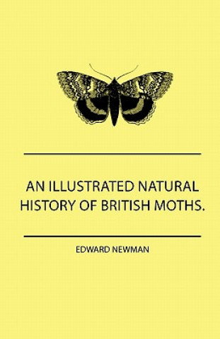 Buch An Illustrated Natural History Of British Moths. With Life-Size Figures From Nature Of Each Species, And Of The More Striking Varieties - Also, Full D Edward Newman