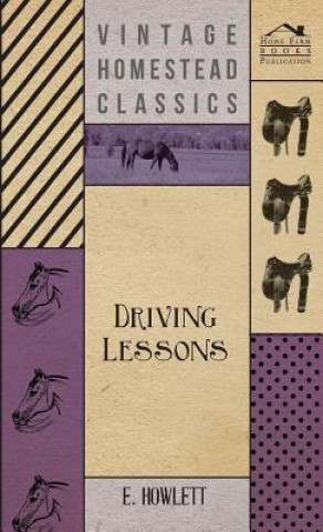 Kniha Driving Lessons E. Howlett