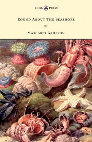 Книга Round About The Seashore - With Eight Coloured Pictures Margaret Cameron
