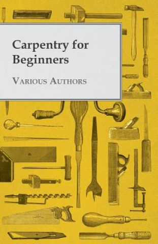 Kniha Carpentry for Beginners Various