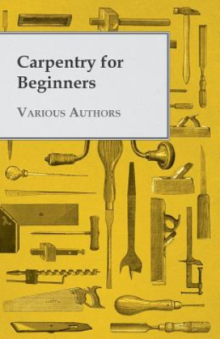 Buch Carpentry for Beginners Various