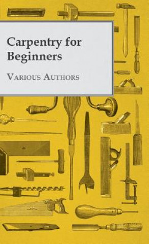 Knjiga Carpentry for Beginners Various