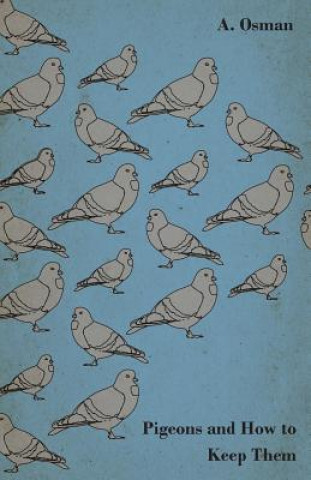 Libro Pigeons and How to Keep Them A. Osman