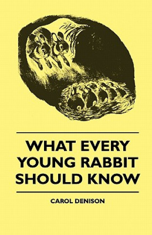 Carte What Every Young Rabbit Should Know Carol Denison