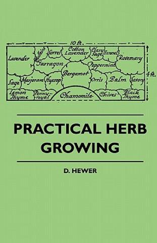 Buch Practical Herb Growing D. Hewer