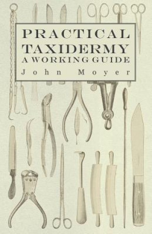 Kniha Practical Taxidermy - A Working Guide John Moyer
