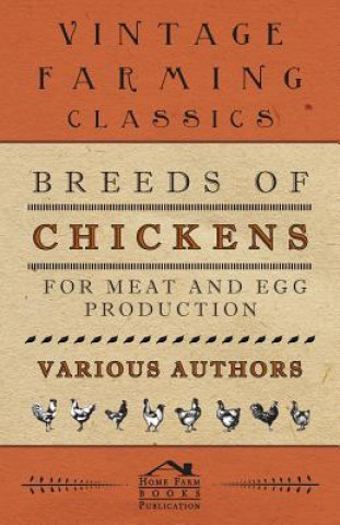 Buch Breeds Of Chickens For Meat And Egg Production various