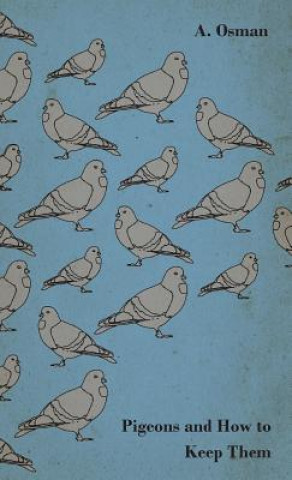 Könyv Pigeons and How to Keep Them A. Osman