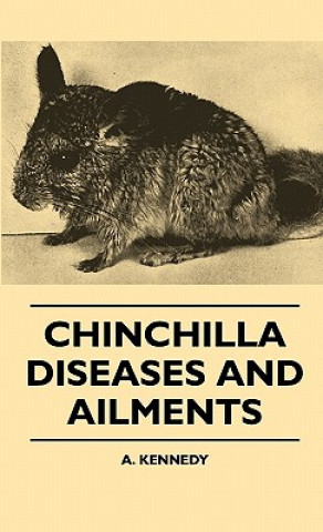 Buch Chinchilla Diseases And Ailments A. Kennedy