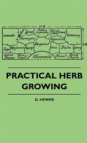 Könyv Practical Herb Growing D. Hewer