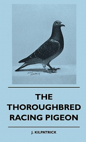 Könyv The Thoroughbred Racing Pigeon J. Kilpatrick