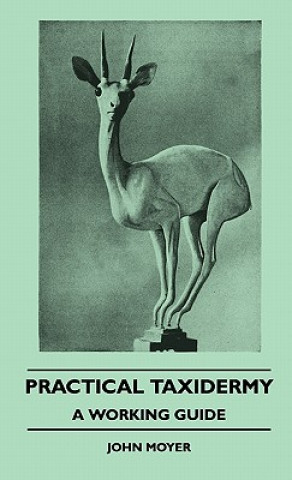 Książka Practical Taxidermy - A Working Guide John Moyer