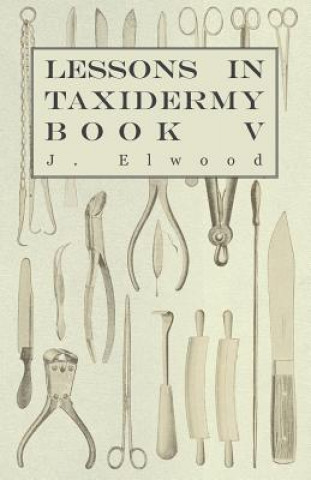 Книга Lessons in Taxidermy - A Comprehensive Treatise on Collecting and Preserving all Subjects of Natural History - Book V. J. Elwood