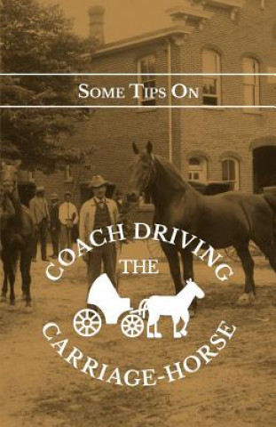 Buch Some Tips On Coach Driving - The Carriage-Horse William Onslow