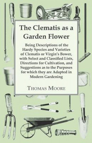 Carte The Clematis As A Garden Flower Thomas Moore