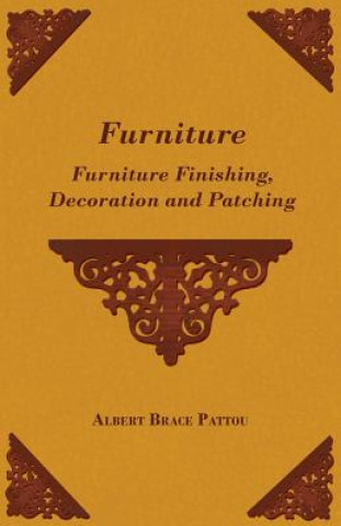 Livre Furniture - Furniture Finishing, Decoration and Patching Albert Brace Pattou