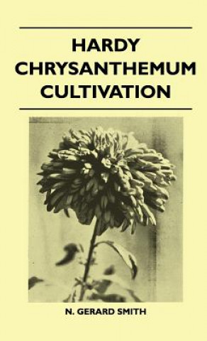 Carte Hardy Chrysanthemum Cultivation N. Gerard Smith