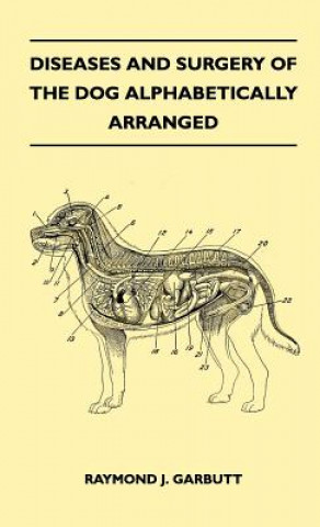 Kniha Diseases And Surgery Of The Dog Alphabetically Arranged Raymond J. Garbutt