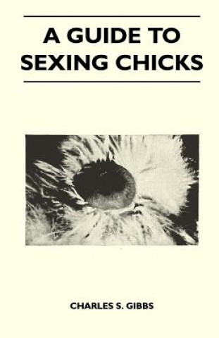 Könyv A Guide To Sexing Chicks Charles S. Gibbs